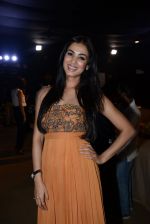 Sonal Chauhan on Day 4 at AVBFW 2013 on 2nd Dec 2013